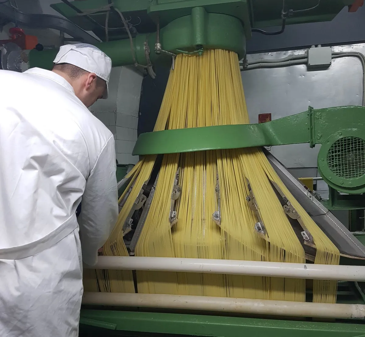 파엘라 그라냐노 공장